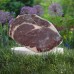 紐西蘭 Silver Fern Farms PS 熟成草飼肉眼扒 約250-300g