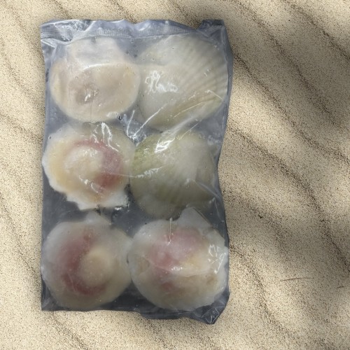 中國(10-12cm)半殼扇貝 1KG3333
