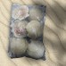 中國(10-12cm)半殼扇貝 1KG