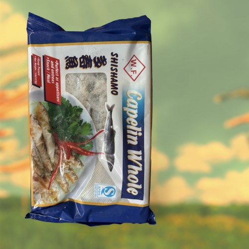 加拿大多春魚 453G3333